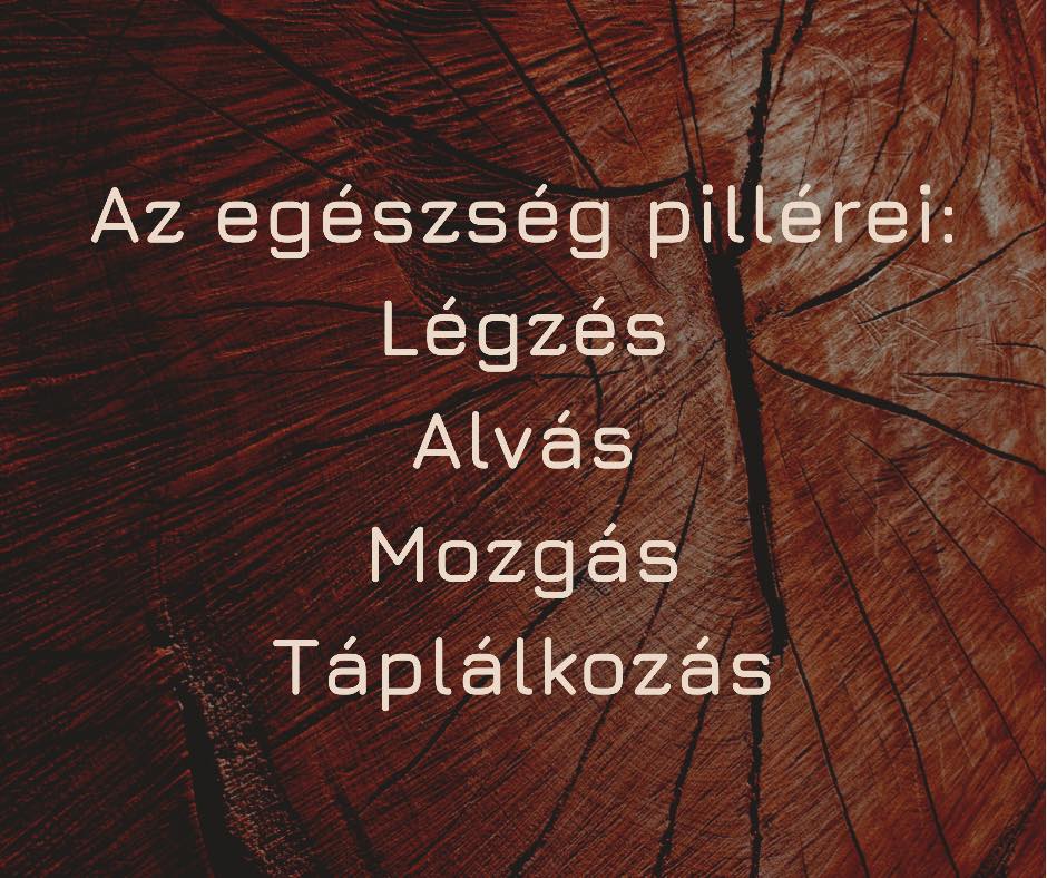 Az egészség pillérei: légzés, alvás, mozgás, táplálkozás