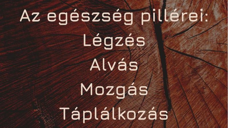 Az egészség pillérei: légzés, alvás, mozgás, táplálkozás